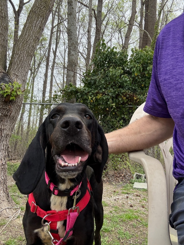 Ruby