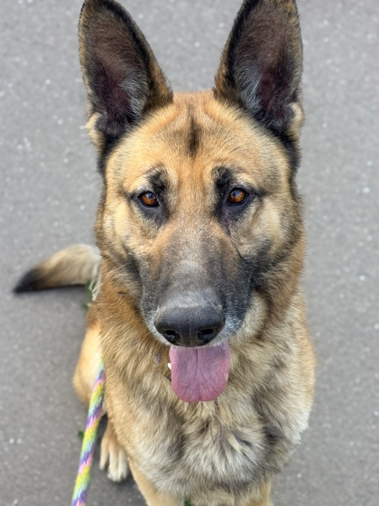 Zeus