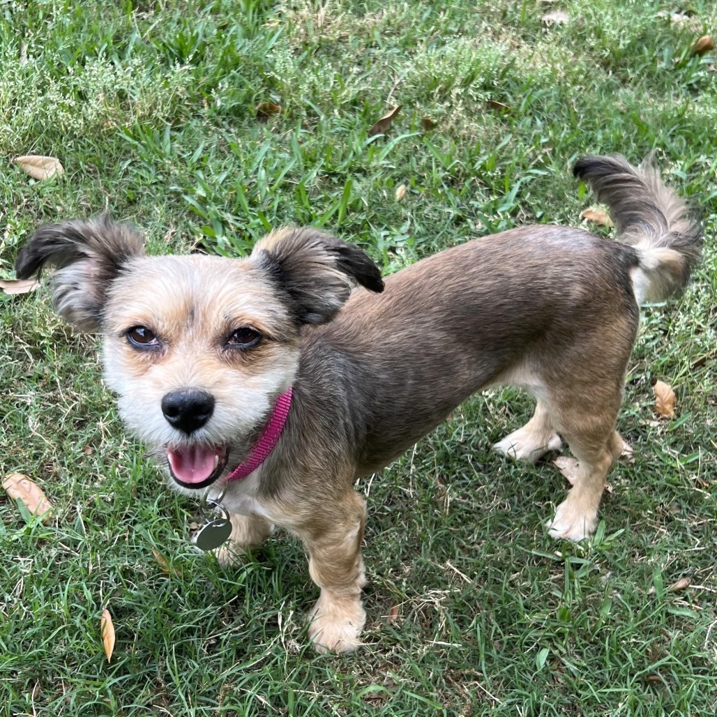 Peaches Penny