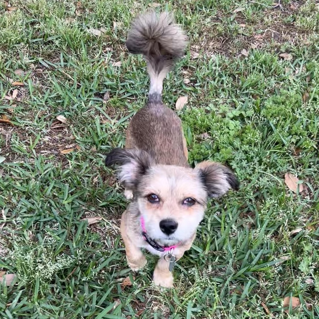 Peaches Penny