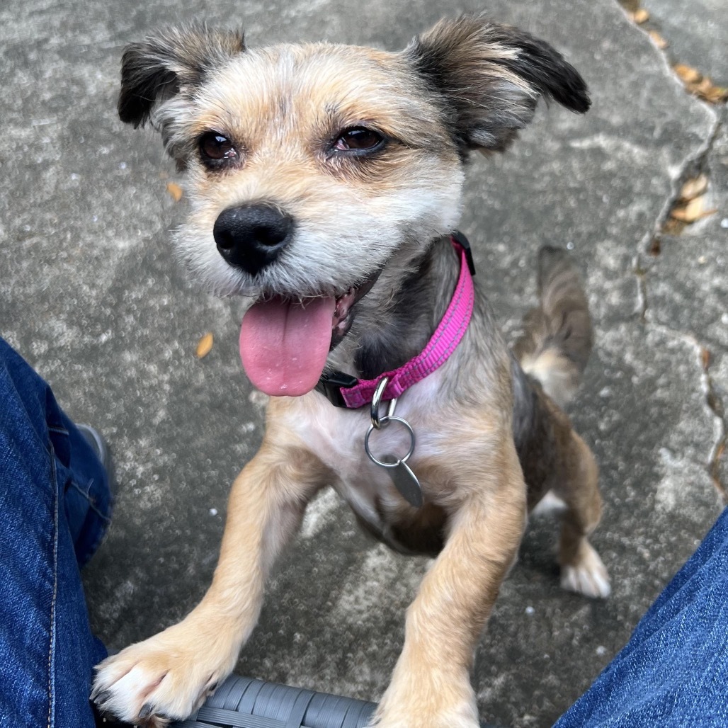 Peaches Penny