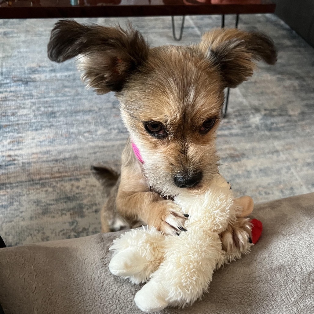 Peaches Penny