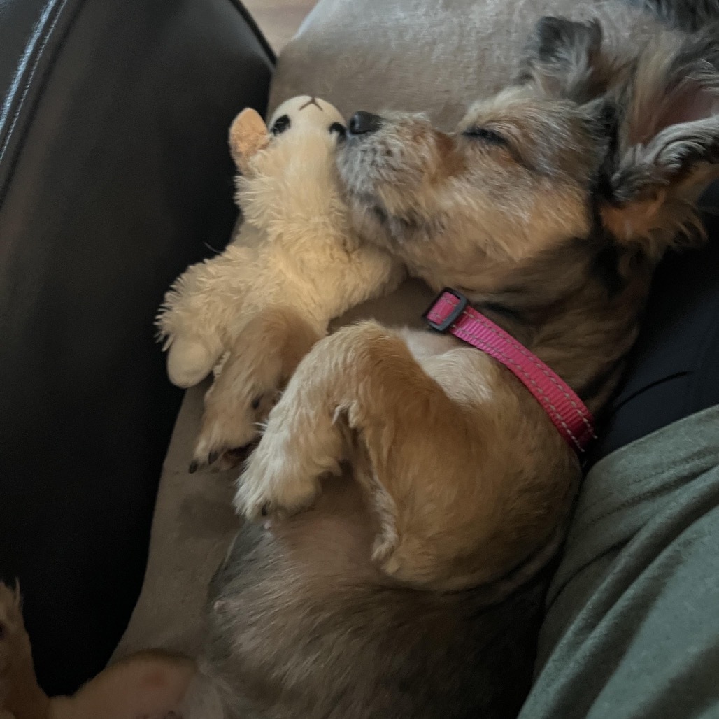 Peaches Penny