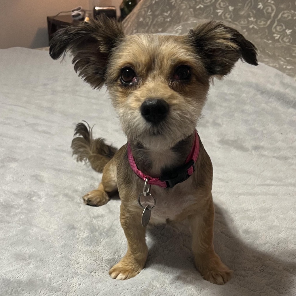 Peaches Penny