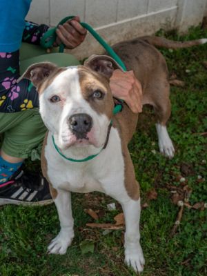 The first thing you may say upon meeting Rescada is Oh what a cutie Shes two years old an easy