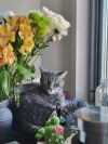 Frankie photo 1