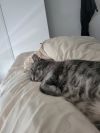 Frankie photo 5