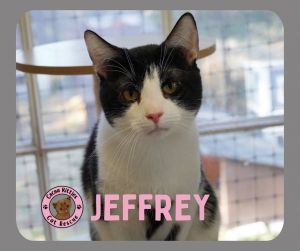 Jeffrey