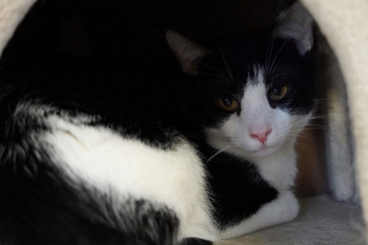 Jeffrey 2