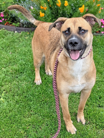 CoCo