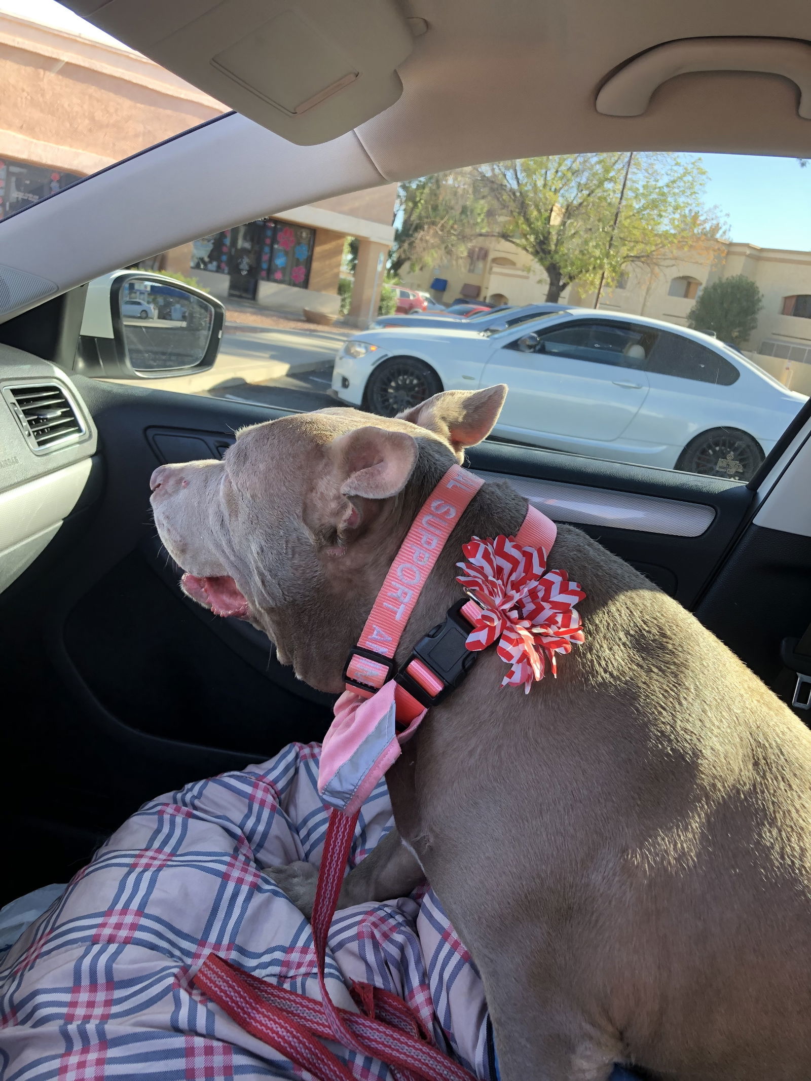 SWEET ELLA
