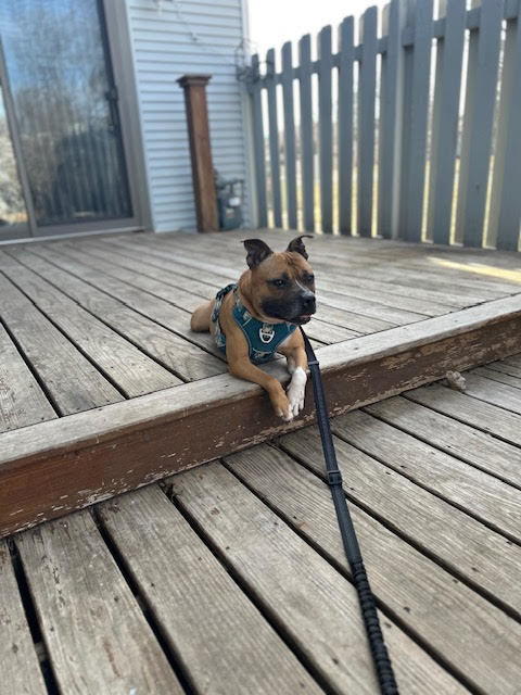 Jack Jack