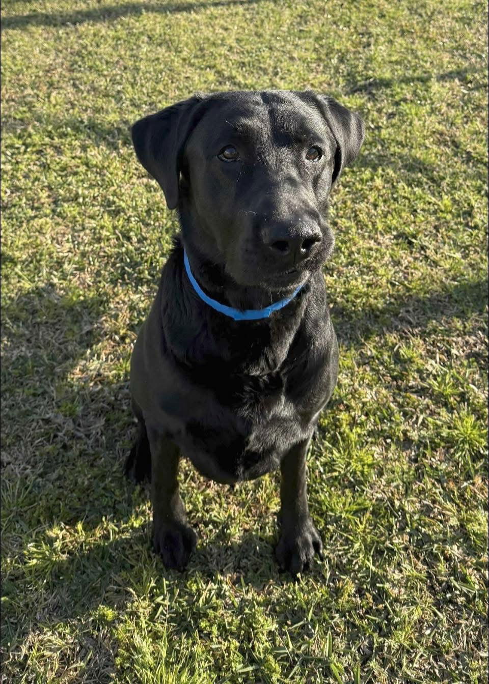 Duke