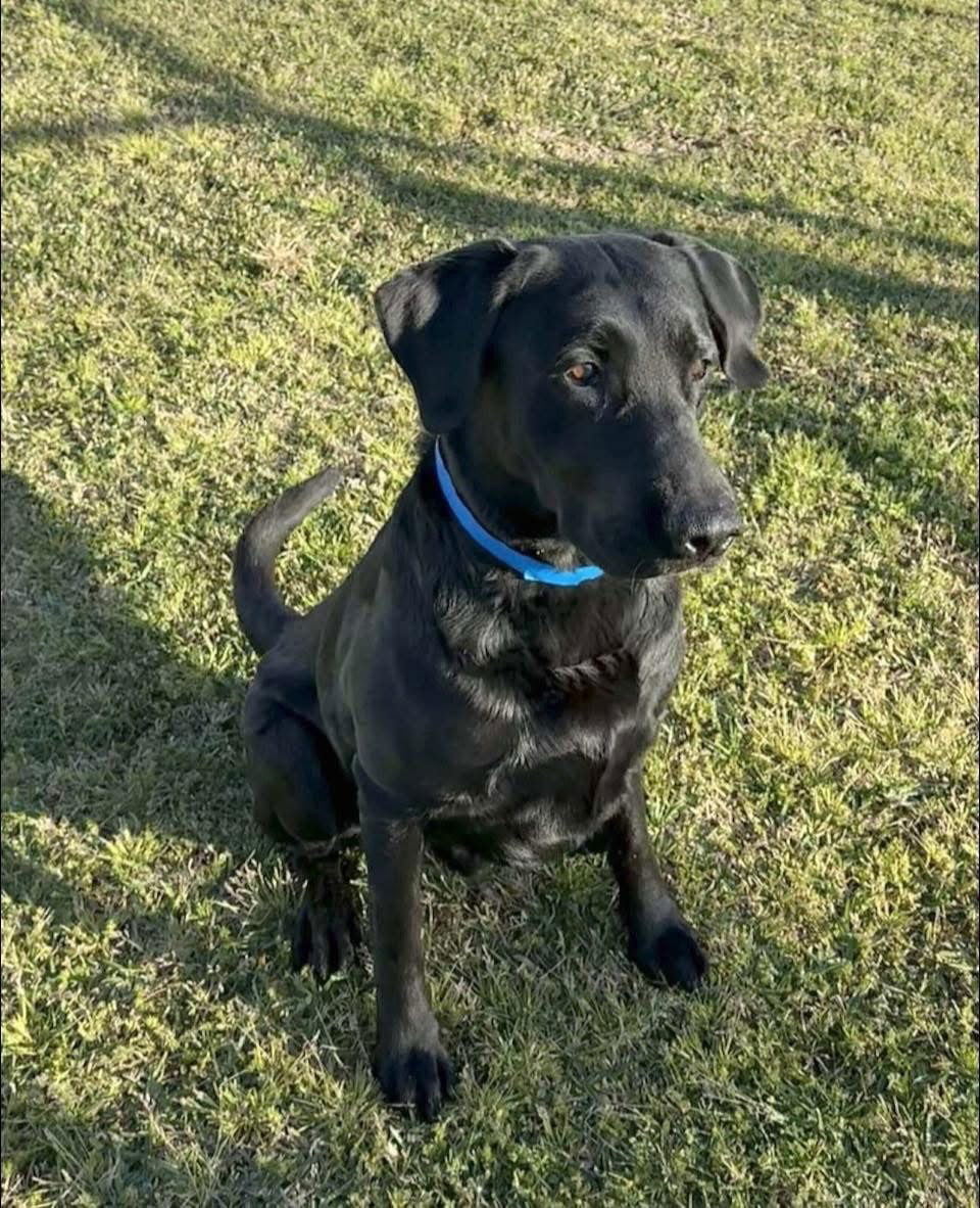Duke