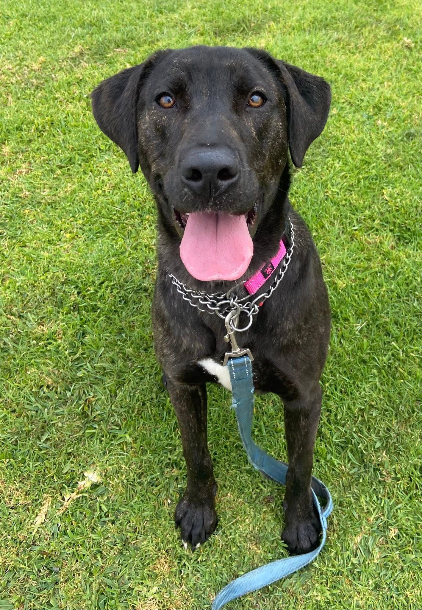Kaia