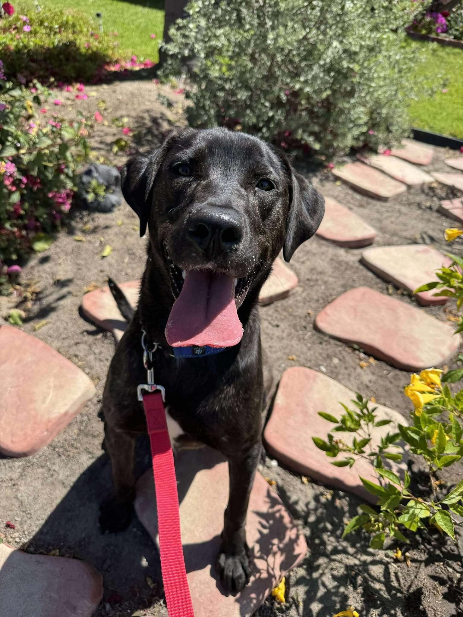 Kaia