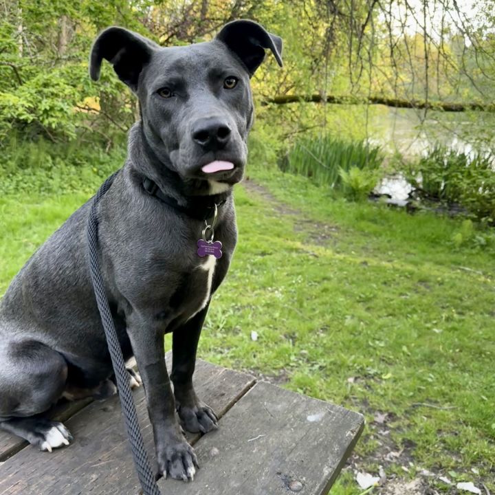Lenny 1