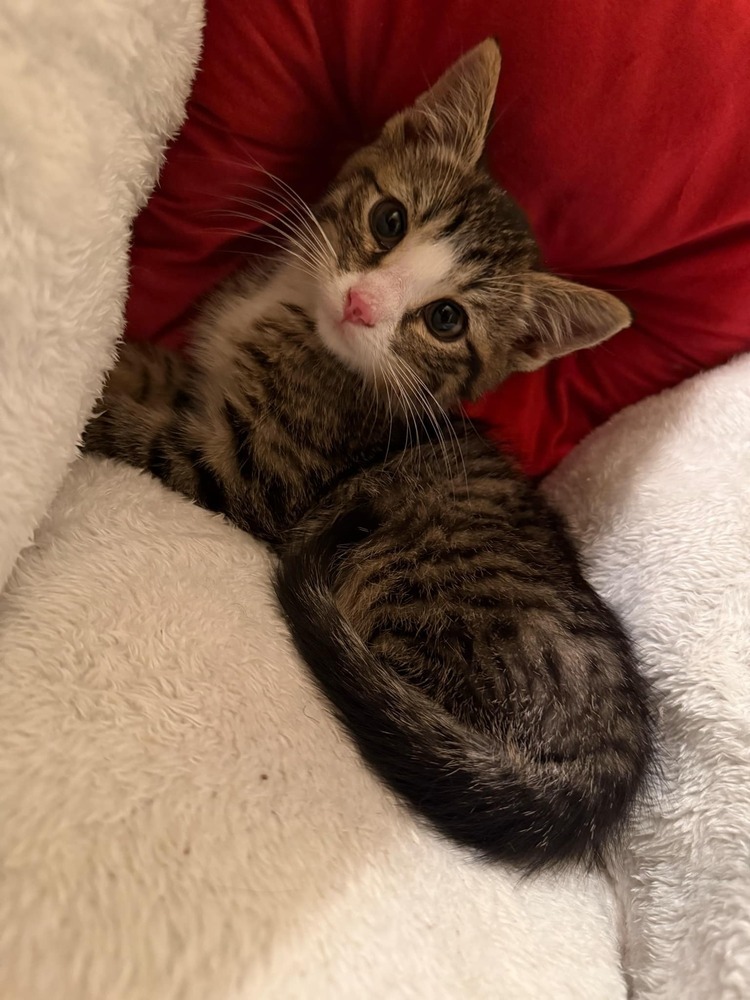Sebastian
