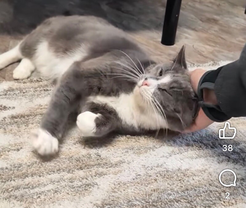 VICTOR
