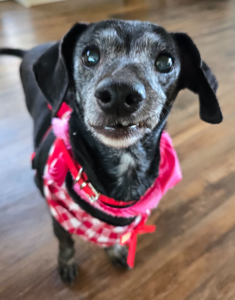 Penny
