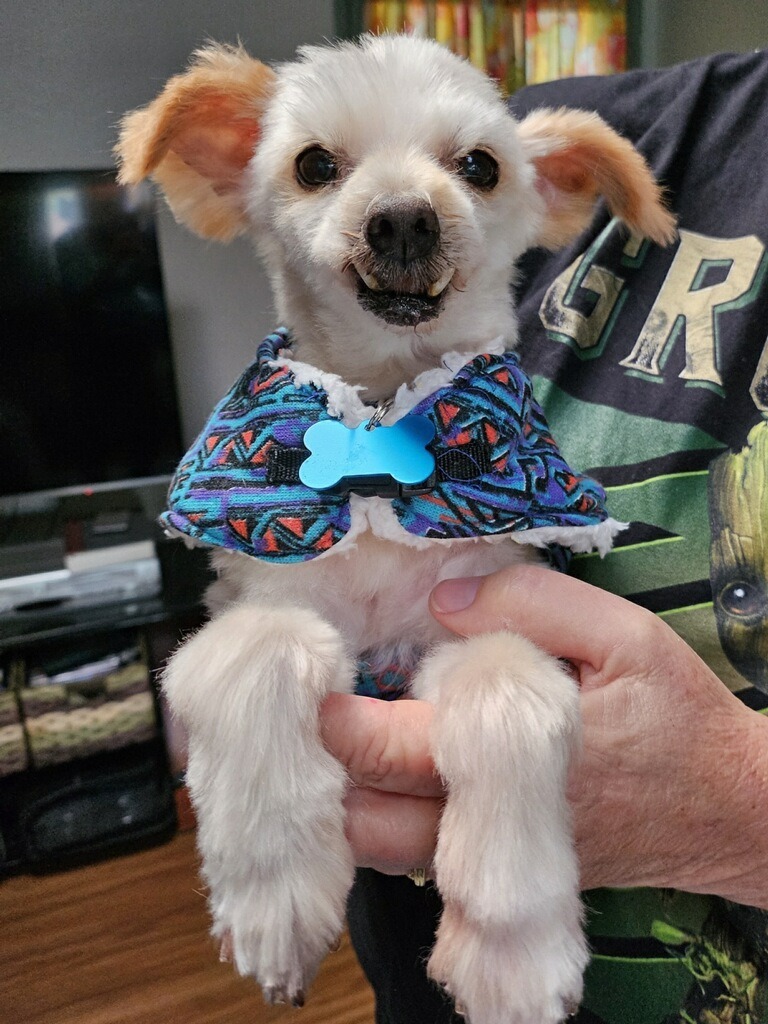 PeeWee