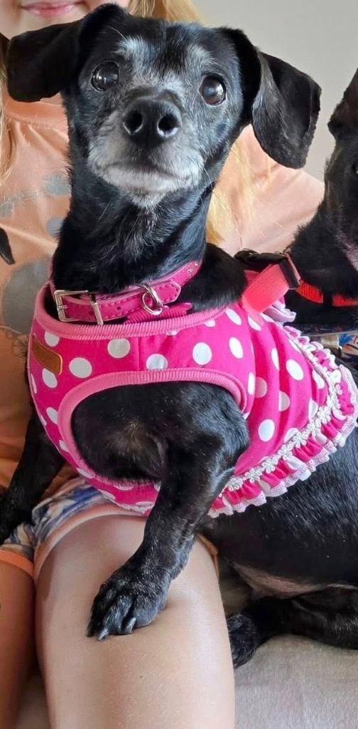 Bella