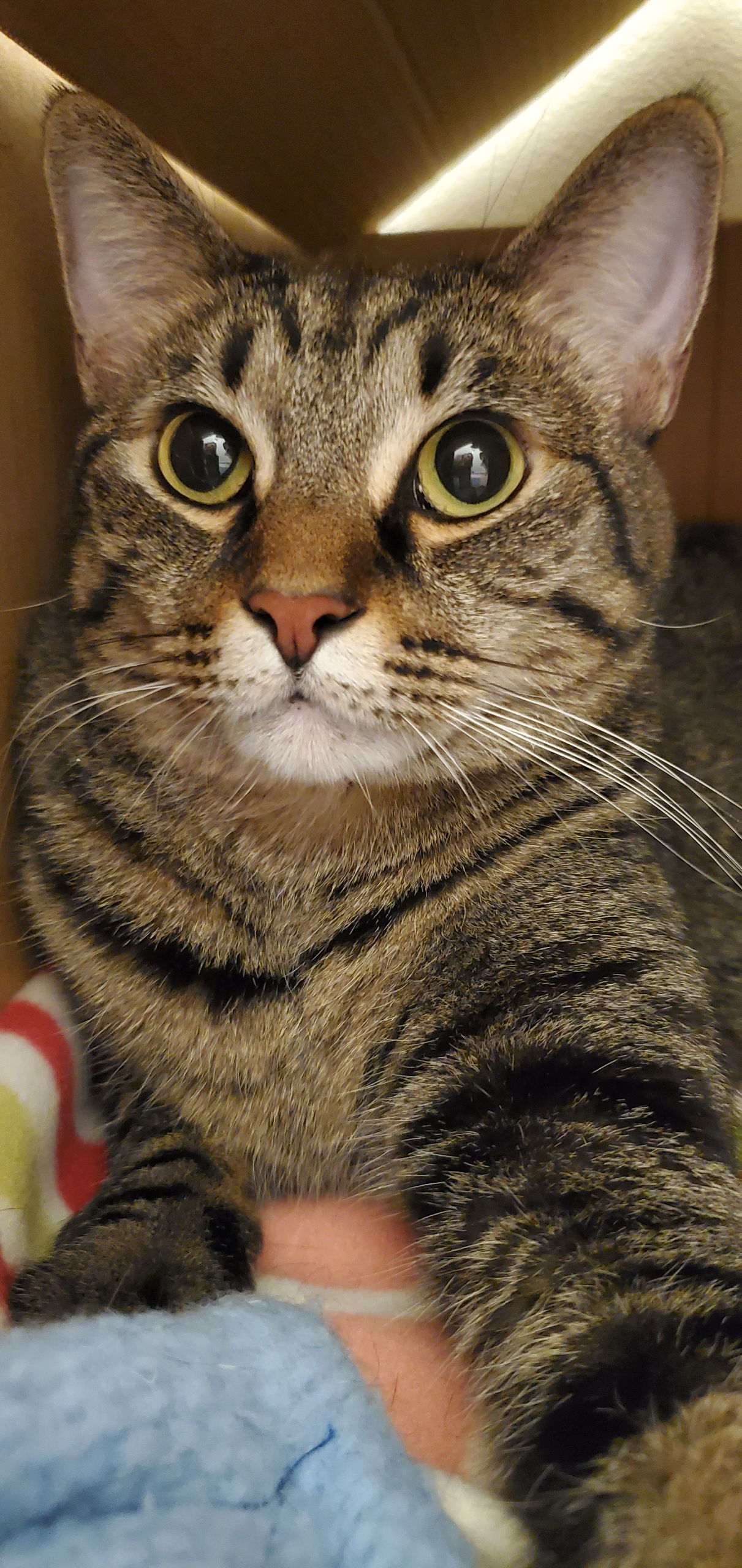 LeeLoo