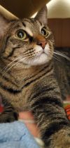 LeeLoo photo 2