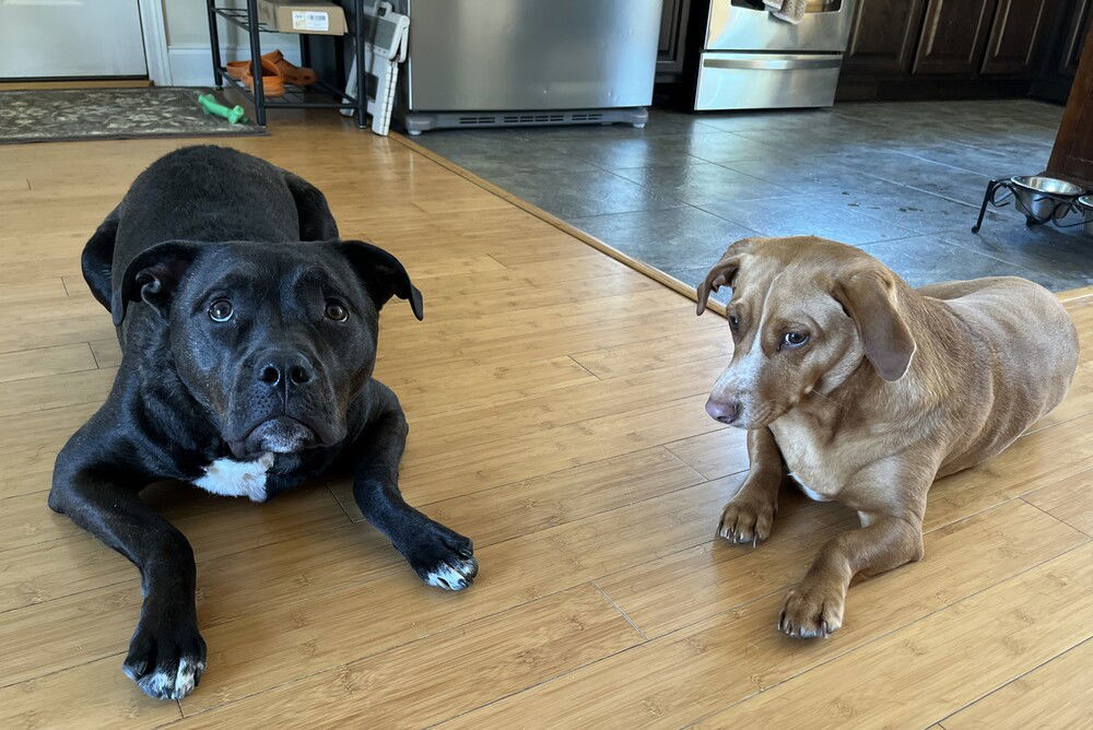 Coco