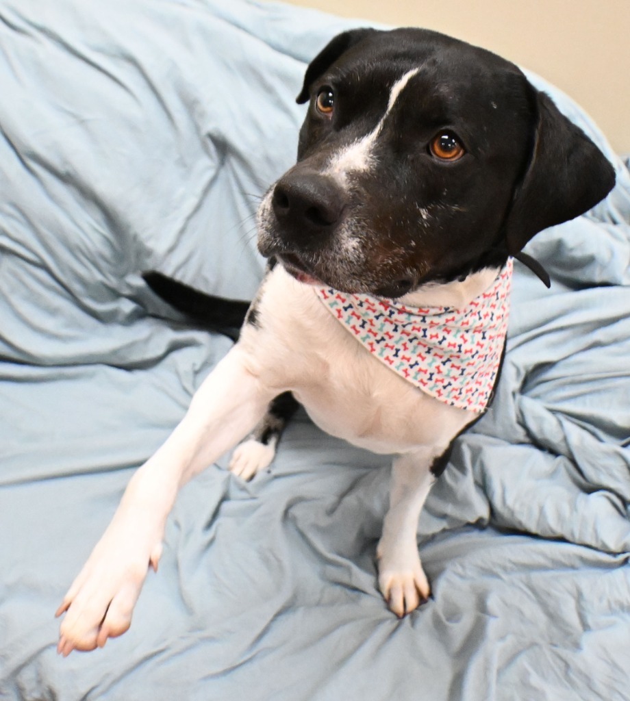 Charlie *Sponsored Senior