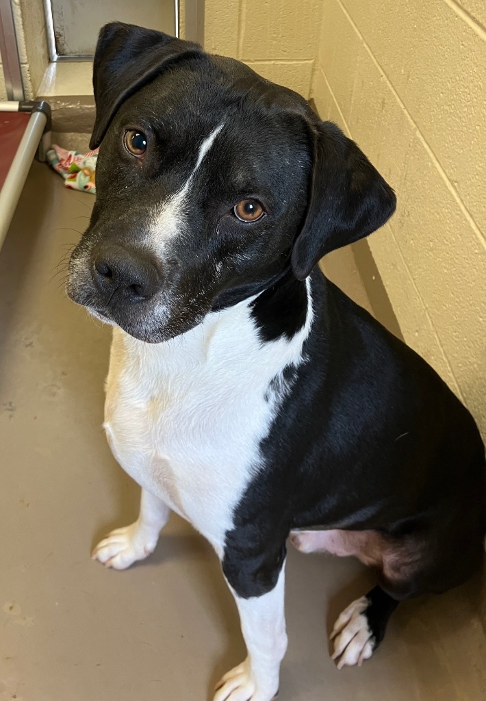 Charlie *Sponsored Senior