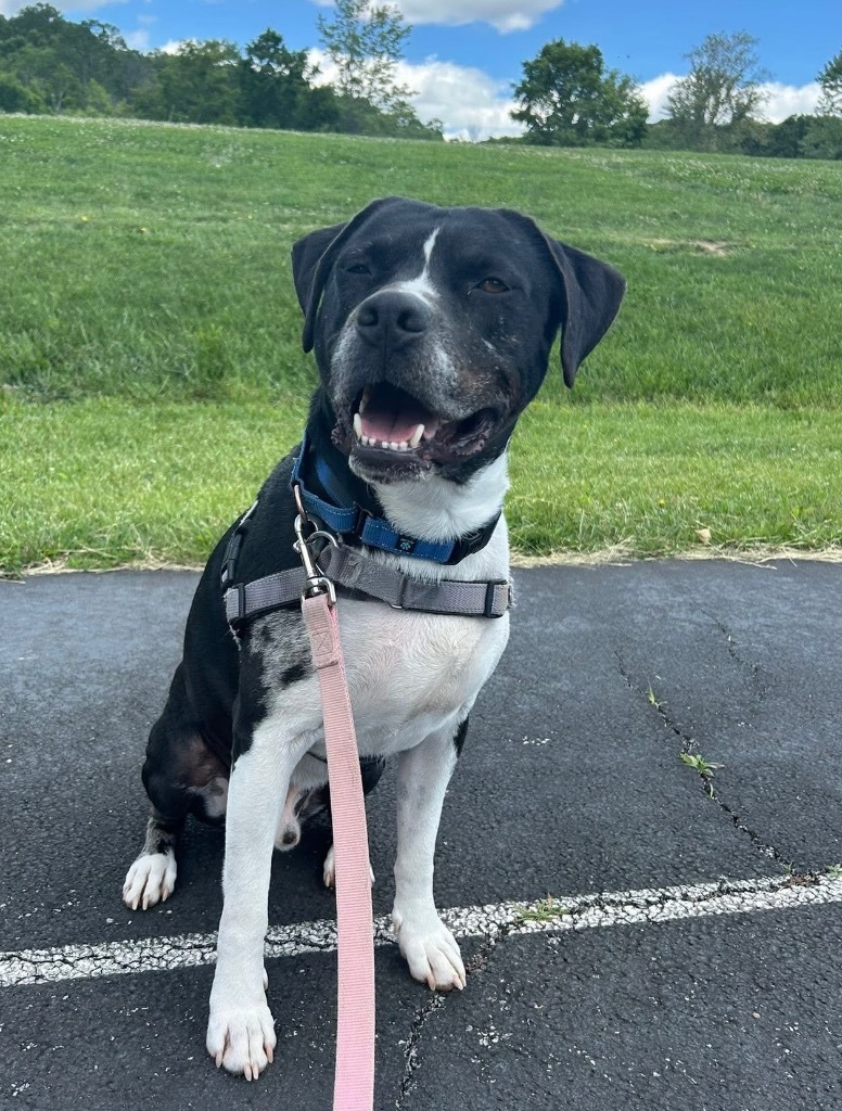 Charlie *Sponsored Senior