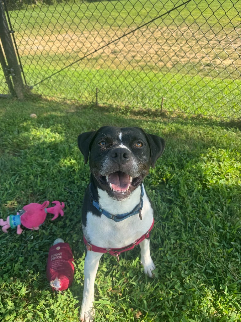 Charlie *Sponsored Senior