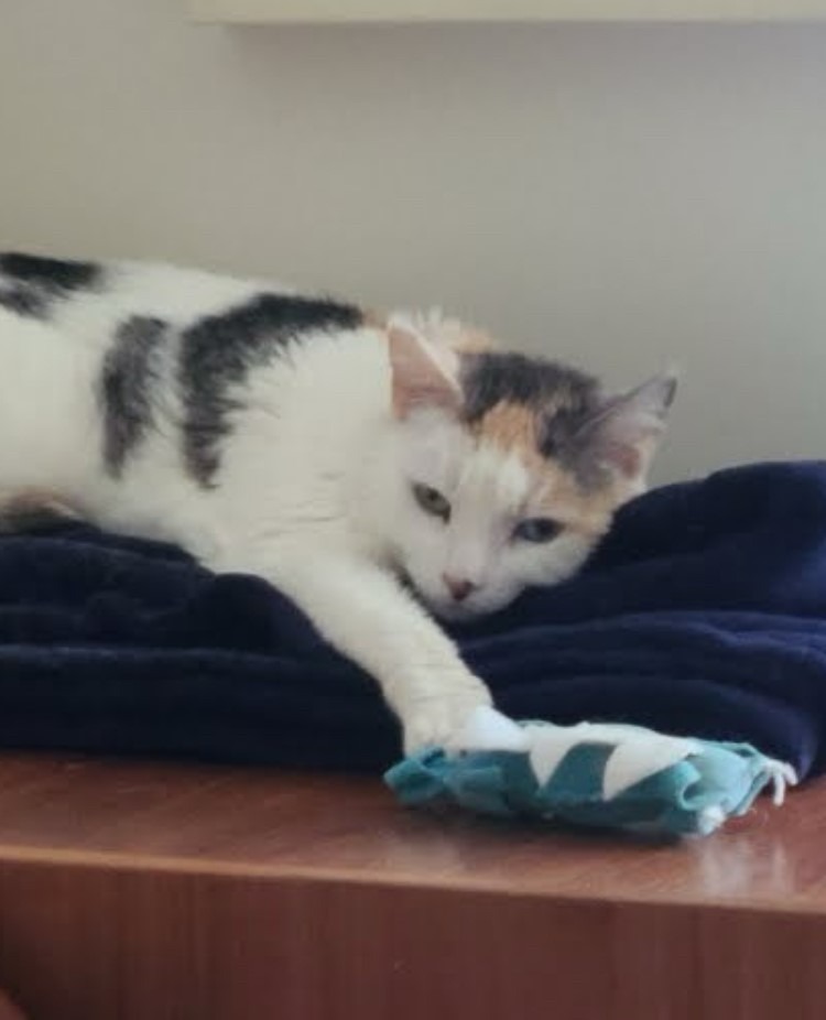 Mins *Sponsored Adoption