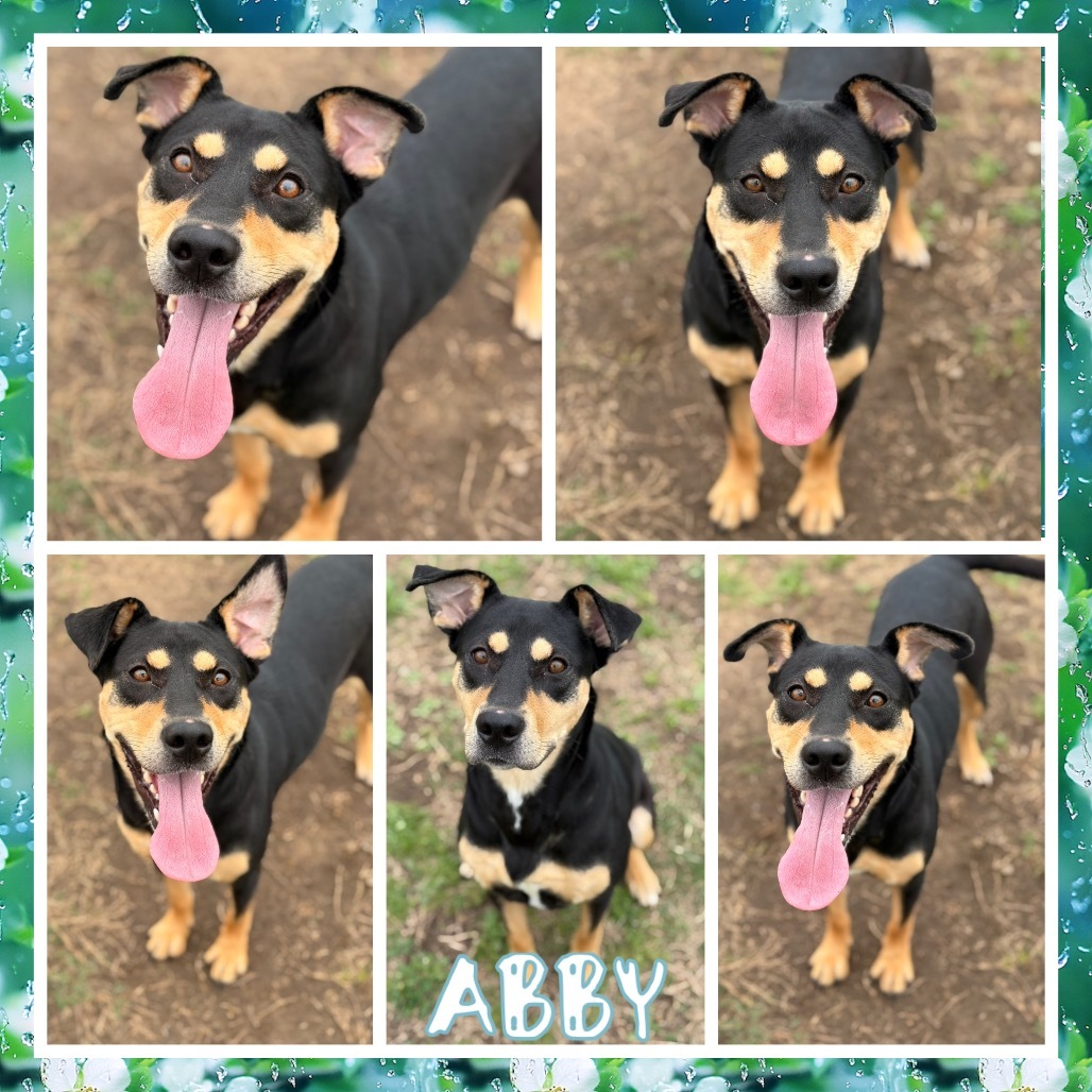 Abby