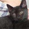 One Eyed Jack photo 3