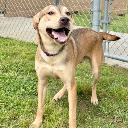Remington