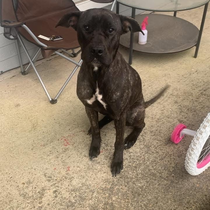 Coco