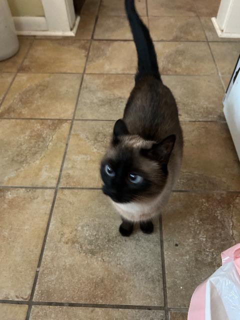Sophie
