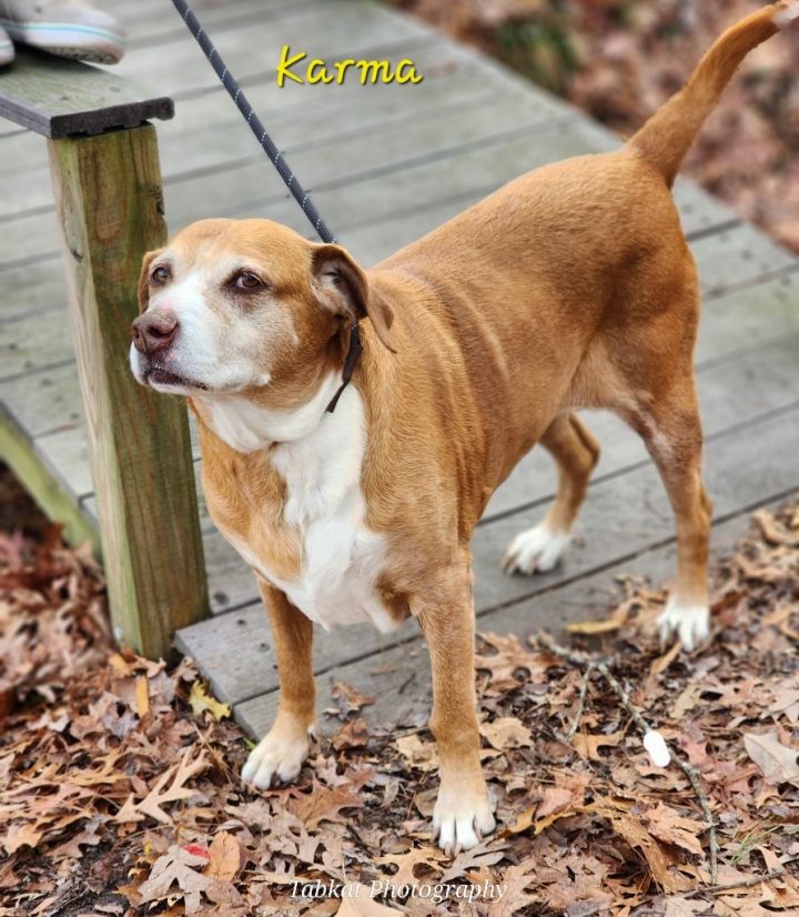 Maggie ( Karma X) 1