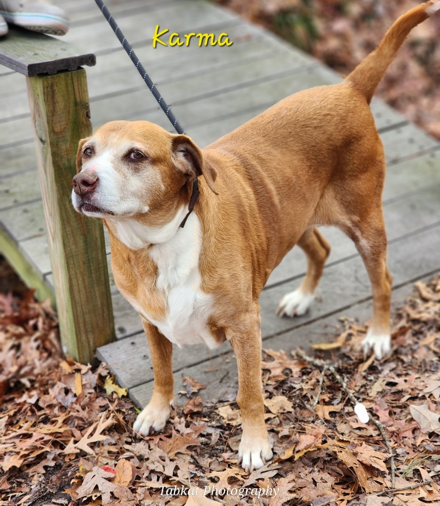 Maggie ( Karma X)