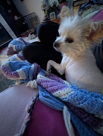 Toto
