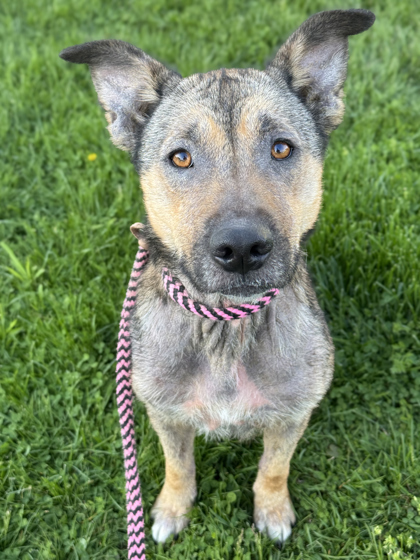 Xena
