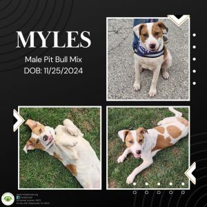 Myles