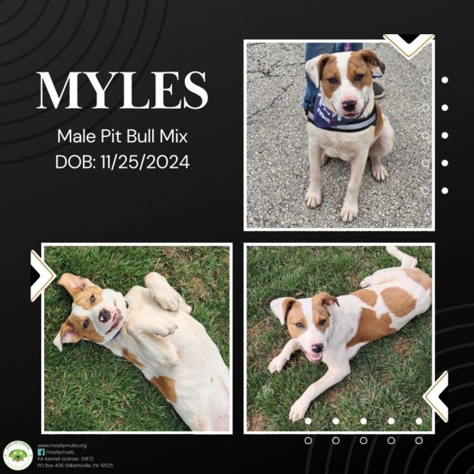 Myles