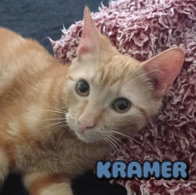 Kramer #Seinfeld-crew
