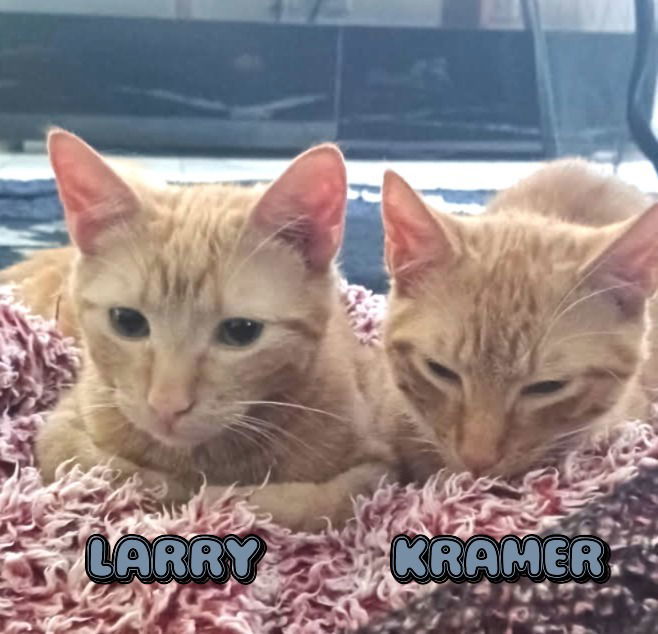 Kramer #Seinfeld-crew