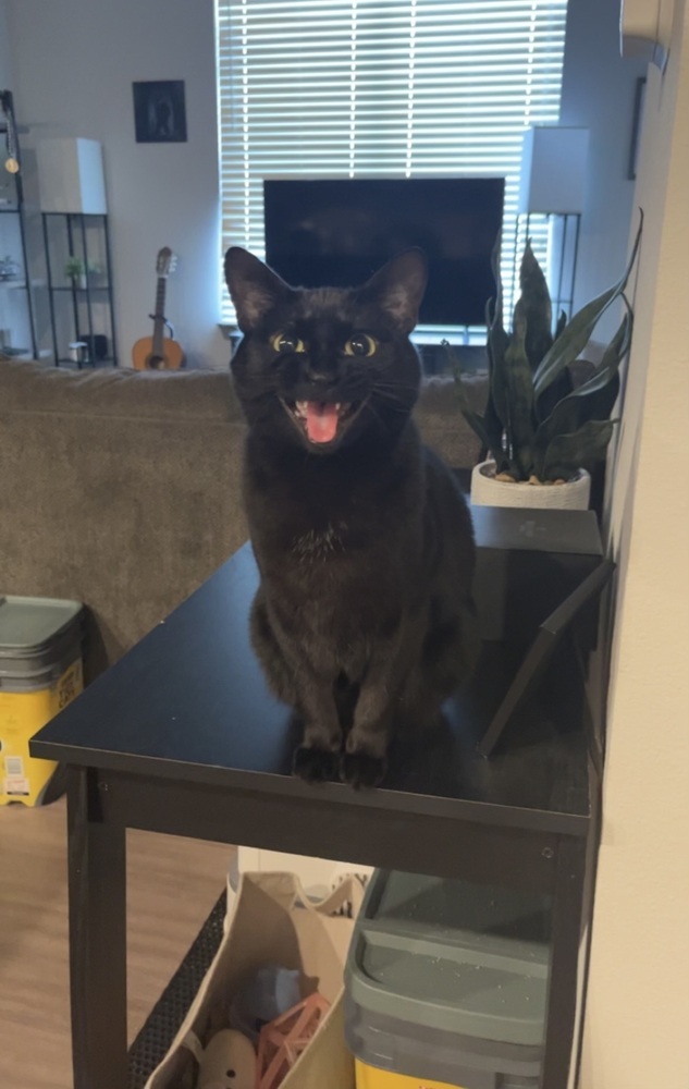 Arrietty aka Penny