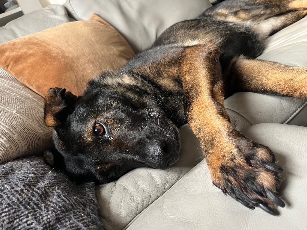 Luna
