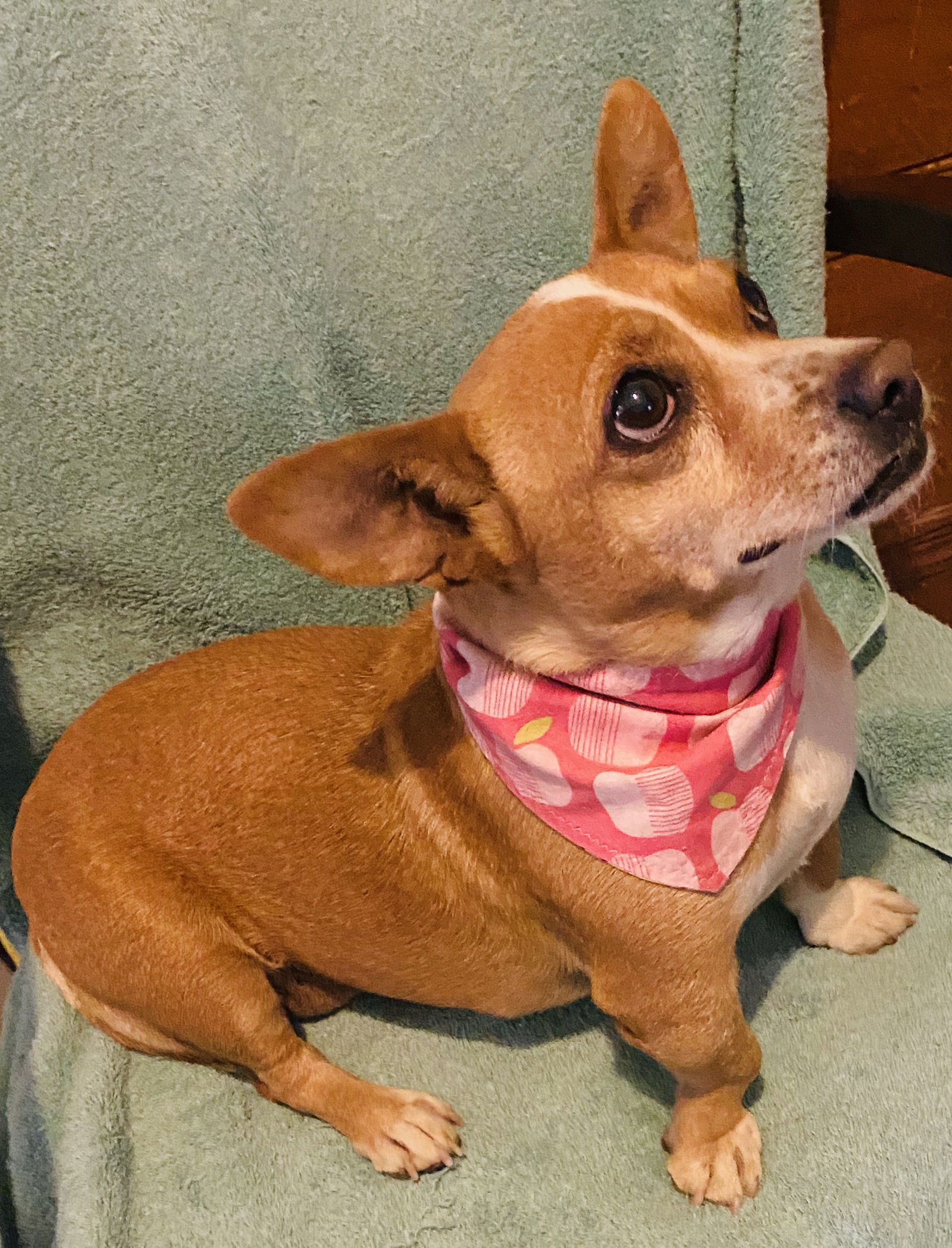 Chiquita